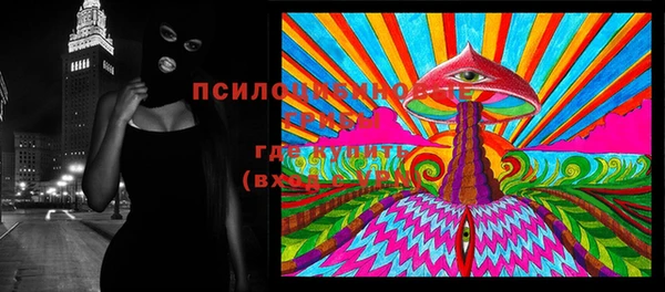 прущая мука Алзамай