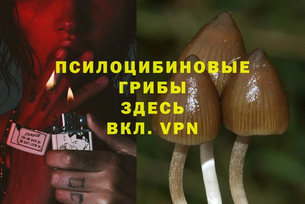 ALPHA-PVP Алексин