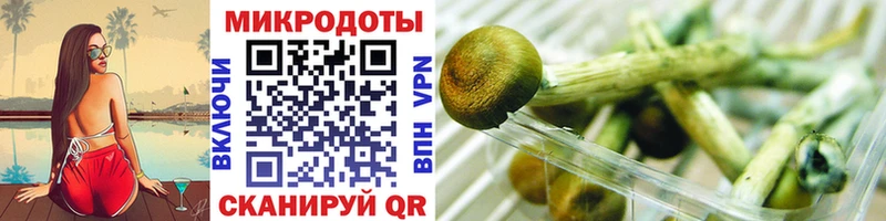 наркотики  МЕГА зеркало  Псилоцибиновые грибы Psilocybe  Шацк 