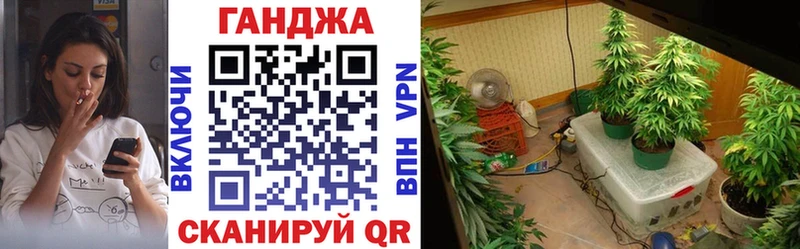 дарнет шоп  Шацк  МАРИХУАНА семена 